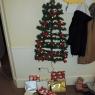 13 tree