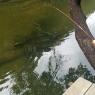 fishing hannah