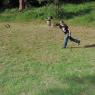 horseshoes2
