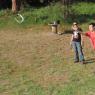 horseshoes