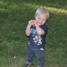 ball joel2