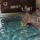 swim joel nate hannah benjamin