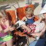 baseball hannah lilly joel carol