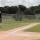 baseball rhiley2