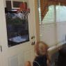 bball benjamin