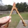 56 wishbone