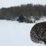 07 snow