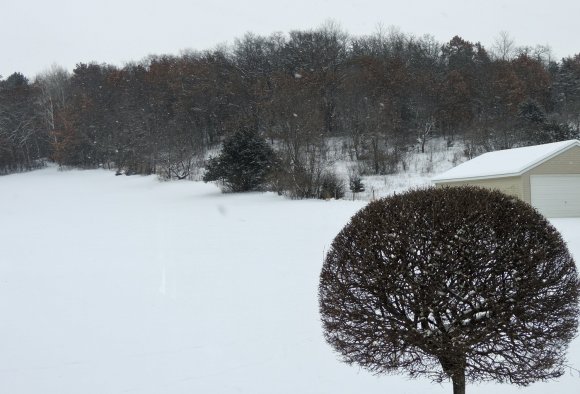 07 snow