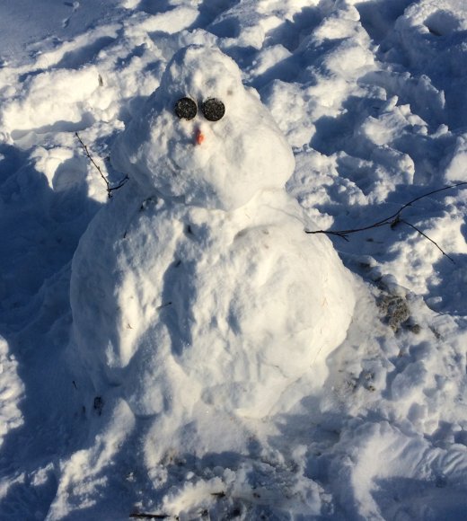 35 snowman