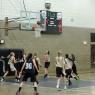 03 mollie scores
