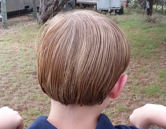 01 benjamin cut