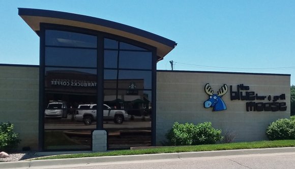 25 blue moose