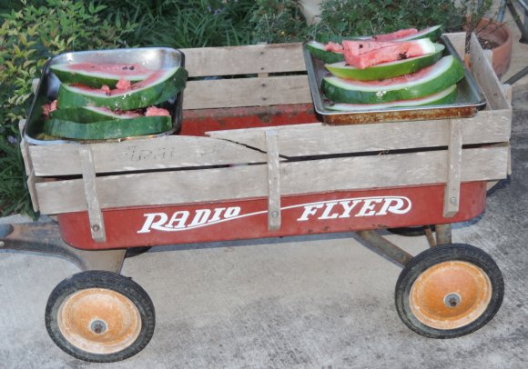 69 watermelon