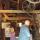 05 grist mill