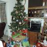 01 tree