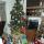 01 tree