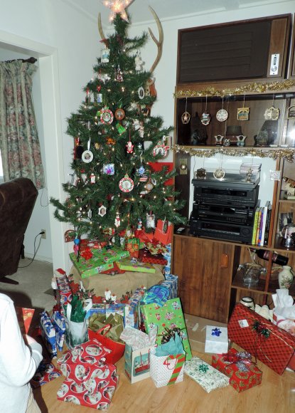 01 tree