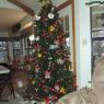 08 tree