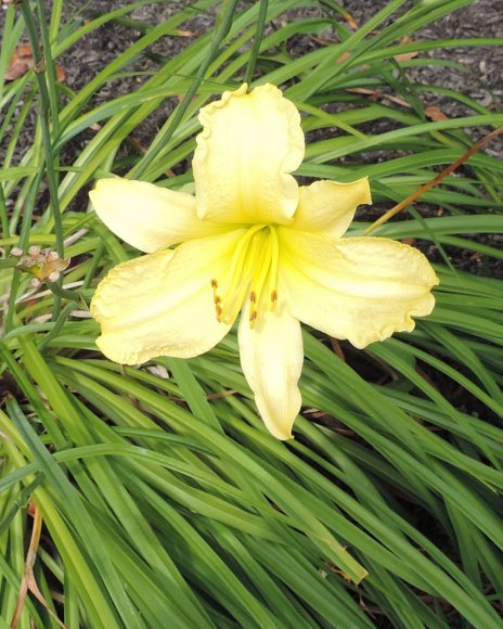 05