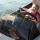39 joel