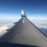 03 plane view