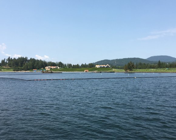 18 floating green