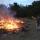 14 fire