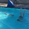 hcr pool (4)