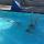 hcr pool (4)