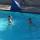 hcr pool (5)