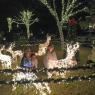 lights cousins (3)