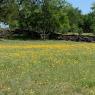 05 pretty field
