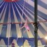 circus (10)