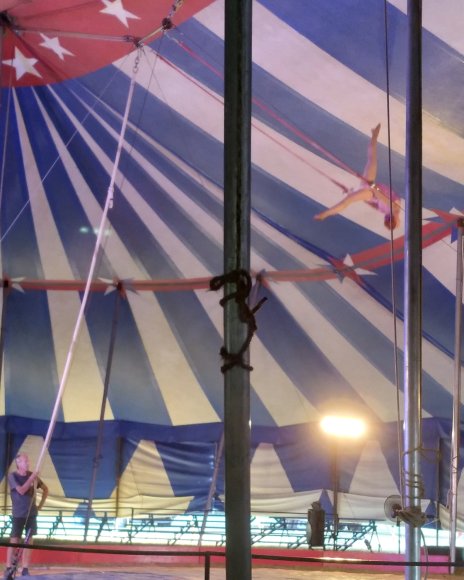 circus (12)