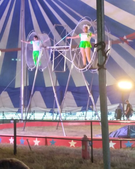 circus (14)