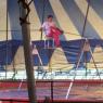 circus (6)