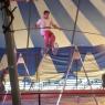 circus (7)