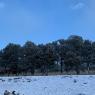 snow (3)