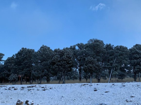 snow (3)
