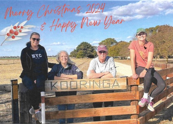 12 xmas milne