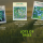 Screenshot 2025-10-20 110241