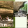 Screenshot 2025-10-20 110337