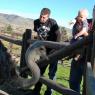 10 ostrich david benjamin nate