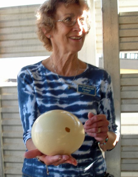 20 ostrich egg