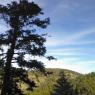 59 scenery