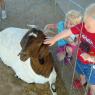 10 superstition farm