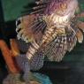 09 lion fish