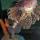 09 lion fish