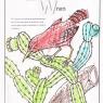 cactus wren