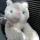 52 kitty